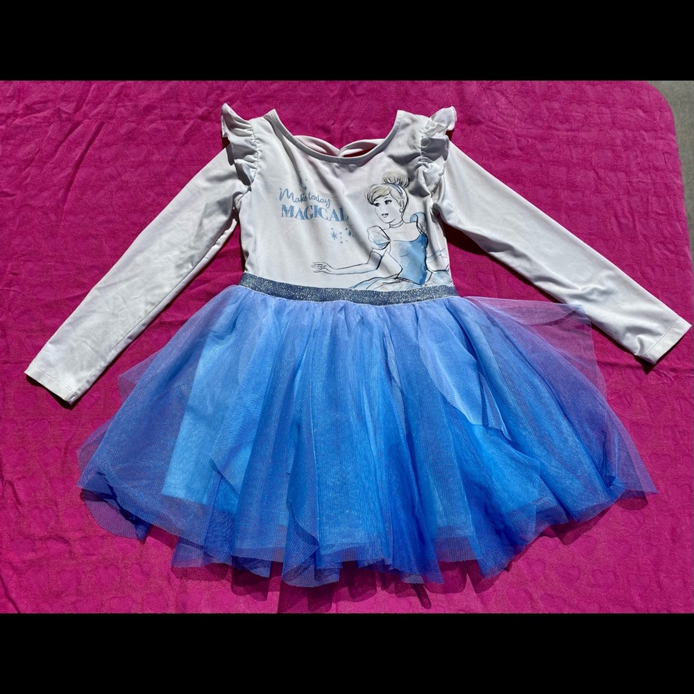 Cinderella Tutu Disney Leotard Dress 5t